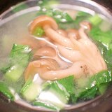 だし＋白味噌◆しめじと小松菜のダシを楽しむ味噌汁
